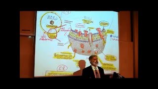 ANATOMY REVIEW OF CYTOLOGY PART 2 by Professor Fink [upl. by Wrennie887]