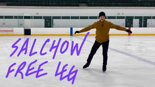 SALCHOW FREE HIP ACTION For figure skaters [upl. by Melesa]