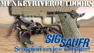 SIG SAUER® 1911 Scorpion 45ACP Review  Part II [upl. by Eidnas]