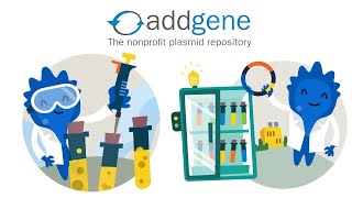 Addgene  Sequence Analysis  Restriction Enzymes  Nucleotide  Blast  Bioinformatics  Urdu [upl. by Ahsias]