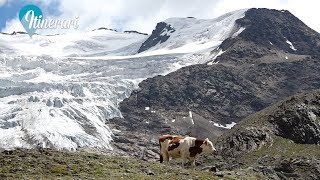 ITINERARI LA VALLE DEI FORNI IL GHIACCIAIO DEI FORNI [upl. by Eetnom250]