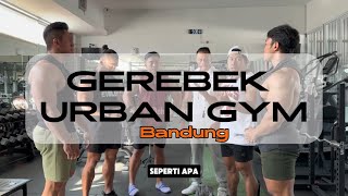 GEREBEK URBAN GYM BARENG TIM EVO 🔥🔥 chrisputra gym [upl. by Eanad]