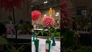 Flower Exhibition in TorontoCanada ❤️ flowers exhibition flowerbeauty canada shorts ytshorts [upl. by Strep]