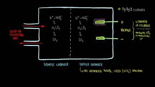 Severinghaus pCO2 Electrode  Bioinstrumentation Design [upl. by Aranahs]