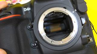 Video of the Nikon D4s shooting at 11fps High Speed Continuous Shooting [upl. by Annawot]