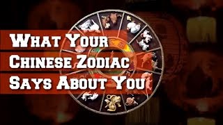 What Your Chinese Zodiac Says About You [upl. by Ahsilem]