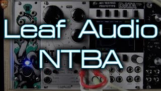 Leaf Audio  NTBA [upl. by Slavin]