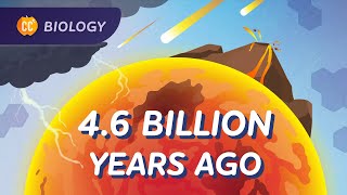 Evolutionary History The Timeline of Life Crash Course Biology 16 [upl. by Plantagenet]