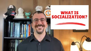 What is Socialization [upl. by Ardnekahs]