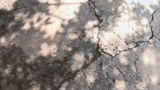 How to Resurface a Driveway [upl. by Weiman]