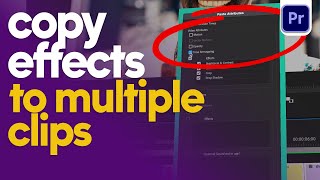 Save Time Copy Effects to Multiple Clips in Premiere Pro [upl. by Jemie823]