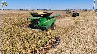 Crossroad Farms Corn Harvest 2024  John Deere X9 1100 Combines with 24 Row Corn Heads [upl. by Yenitirb187]