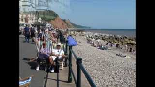 DONKEYS AND THE SIDMOUTH SEASIDE [upl. by Gareri]