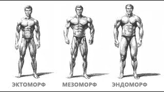 Худощавый Эктоморф и генетика Так ли плохо Как накачаться худому  правила [upl. by Carol-Jean851]