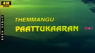 Chinna Chinna Song  Ramarajan  Aamani  Themmangu Pattukaran  Gangai Amaran Tamil Hits [upl. by Aihk]