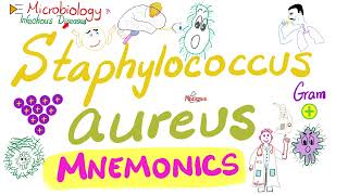 Staphylococcus aureus Mnemonics  Microbiology 🧫 amp Infectious Diseases 🦠 [upl. by Nahgeam]