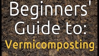 The COMPREHENSIVE Beginners Guide to Vermicomposting Set up a bin amp more [upl. by Flossi]