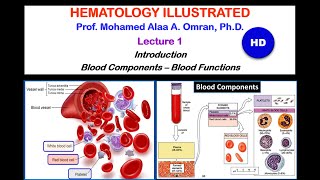 Hematology Lecture 12020 HD [upl. by Norrahc]