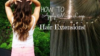 HOW TO Apply Micro Loop Hair Extensions [upl. by Nailimixam537]