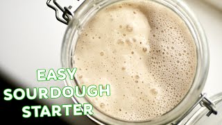 Easy Sourdough Starter Recipe  Make a Wild Yeast Starter at Home [upl. by Avevoneg]