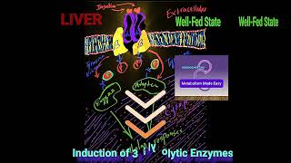 Regulation of Glycolysis amp Gluconeogenesis A Summary Metabolism Made Easy [upl. by Karisa196]