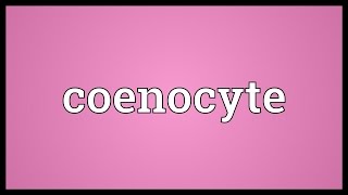 Coenocyte Meaning [upl. by Shirlene]