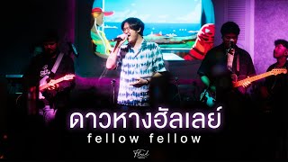 fellow fellow  ดาวหางฮัลเลย์ Halleys Comet Live at FLUID [upl. by Riesman]