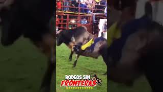 montadera de toros Nicaragua montadetoros [upl. by Nerraw287]