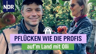 Nicht ziehen sondern drücken Apfelernte ist Schwerstarbeit  Folge 17  NDR aufm Land mit Olli [upl. by Nylasoj]