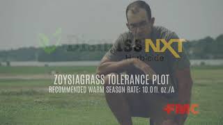 Dismiss® NXT Herbicide  Warm Season Turfgrass Yellow Nutsedge and Green Kyllinga Control [upl. by Wind]