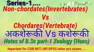 NonchordatesInvertebrates Vs ChordaresVertebrate अकशेरूकी Vs कशेरूकी Notes of BSc part1 Zool [upl. by Atteiluj]