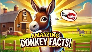 Amazing Donkey Facts [upl. by Nakeber954]