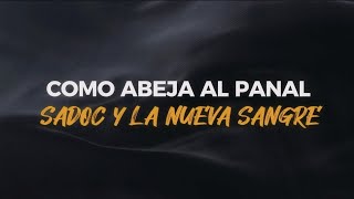 Como Abeja Al Panal  Sadoc Y La Nueva Sangre Letra [upl. by Ebocaj]