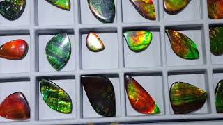 East Coast Gem Mineral and Fossil Show August 12 2023 Springfield MA [upl. by Solitta40]