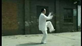 Zhaobao HeStyle Taijiquan [upl. by Immij]