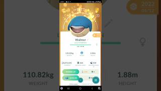 🍀Lucky Wailmer Family Wailord Pokemon Go pokemon pokemongo pokémongo [upl. by Anirtik]