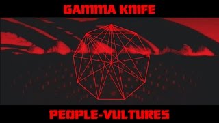 King Gizzard amp The Lizard Wizard  Gamma Knife  PeopleVultures Official [upl. by Jake]