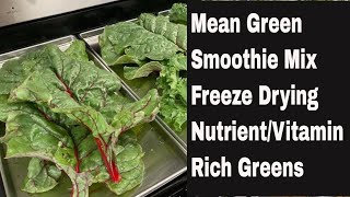 Mean Green Smoothie Mix Detailed Instructions for Freeze Drying Nutrient Rich Greens [upl. by Levitus]