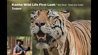 Discover Kanha Tiger Reserve First Look  Teaser  Kanha Wild Life safari I PugMark Resort [upl. by Mendez]