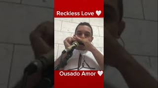 Reckless Love Ousado Amor Gaita Instrumental Hering Profissional 48 Vozes [upl. by Sanfo]