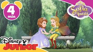 Sofia Intai  Amber Prințesa Fluture Doar la Disney Junior [upl. by Proud]