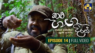 Kalu Ganga Dige Episode 14  කළු ගඟ දිගේ  21st November 2020 [upl. by Ahtamat]