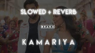 Kamariya  Darshan Raval  Slowed  Reverb   B R A K X MUSIC [upl. by Dranik871]