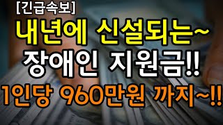 내년에 신설되는 장애인 지원금1인당 960만원 까지 [upl. by Thurston568]