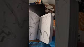 2 New Art Books [upl. by Yentuoc113]