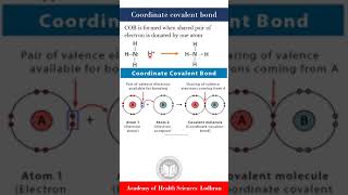 Coordinate Covalent bond  Chemistry  by Imran Yaseen [upl. by Lud]