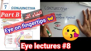 Eye lectures 8 conjunctivitis bacterial conjunctivitis viral conjunctivitis verneal conjunctiva [upl. by Murage]