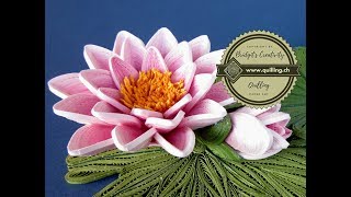 Quilling flowers Water Lilys Nymphaeaceae Seerose  Paper Water Lily [upl. by Enicar]