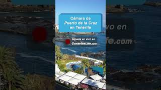 Puerto de la Cruz [upl. by Kenway]