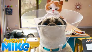 MIGHTY MIKE 🐶 The cone of shame 📣 Episode 05  Full Episode  Cartoon Animation for Kids [upl. by Nnahgaem779]